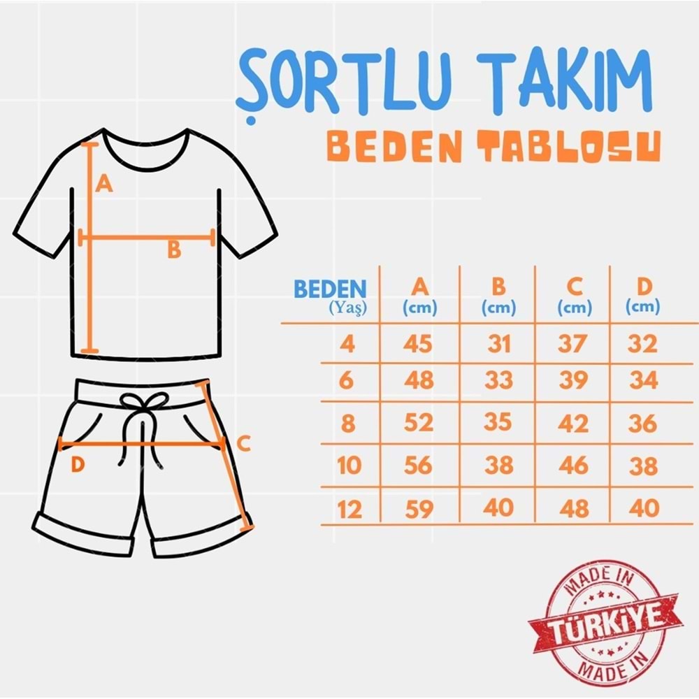 Baskılı Kız Şortlu Yazlık Takım SB730