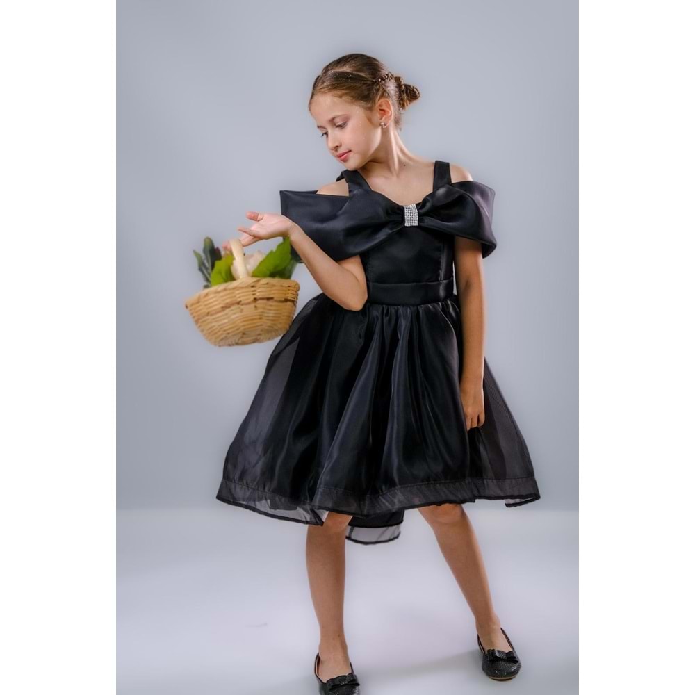 Kız Çocuk Kuyruklu Kristal Abiye