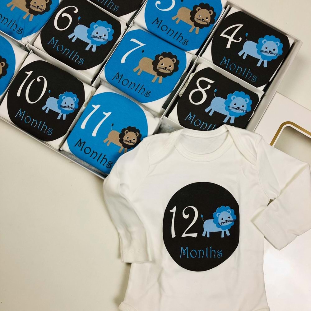 Erkek Bebek Hatıra Badi Set 0-12 Ay (12 adet)