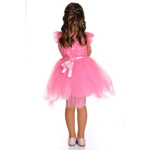 Pembe Elsa Parti Elbisesi