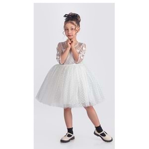 Kız Çocuk Dantel Kumaş Uzun Kol Elbise SB707