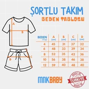 Baskılı Erkek Şortlu Takım SB715
