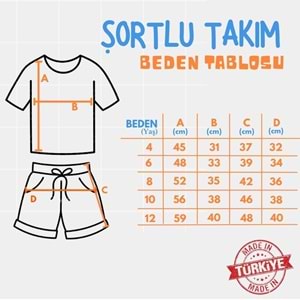 Baskılı Kız Şortlu Yazlık Takım SB730