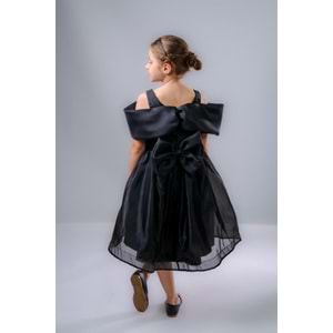 Kız Çocuk Kuyruklu Kristal Abiye