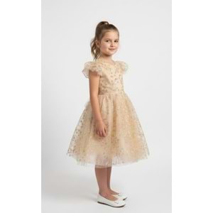 Dantel Kız Çocuk Parti Elbise