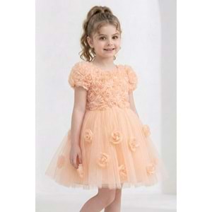 Kız Çocuk Güllü Tütü Özel Gün Elbisesi