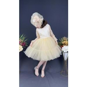 Kız Çocuk Elbise Tokalı Kokoş Elbise SB472