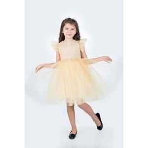 Kız Çocuk Rz Dantel Elbise SB546