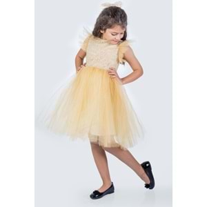 Kız Çocuk Rz Dantel Elbise SB546