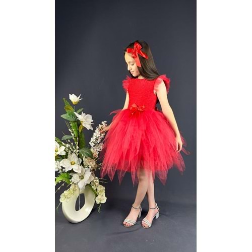 Tüllü Sivri Kesim Tütü Parti Elbisesi