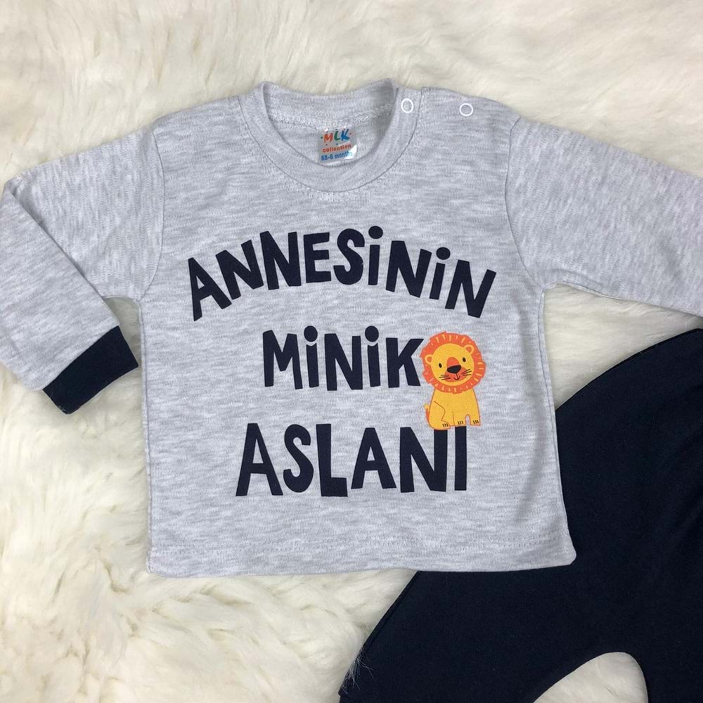 Annesinin Minik Aslanı Erkek Bebek Takım