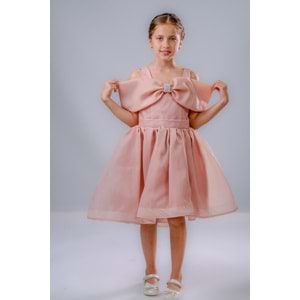 Kız Çocuk Kuyruklu Kristal Abiye