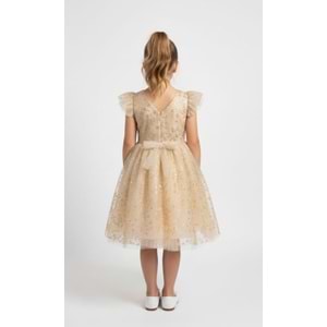 Dantel Kız Çocuk Parti Elbise