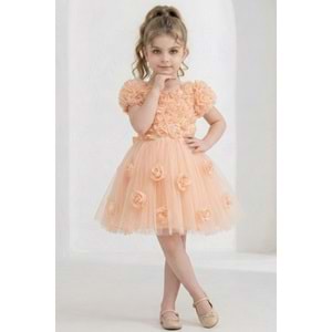 Kız Çocuk Güllü Tütü Özel Gün Elbisesi