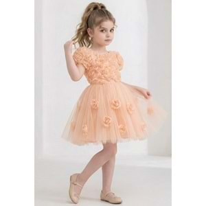 Kız Çocuk Güllü Tütü Özel Gün Elbisesi