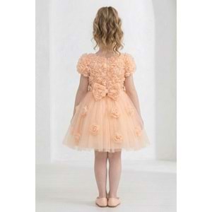 Kız Çocuk Güllü Tütü Özel Gün Elbisesi