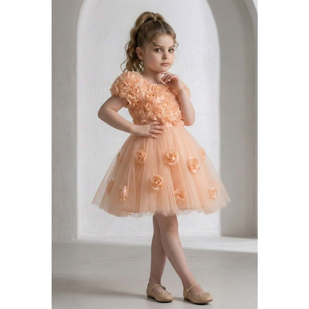 Kız Çocuk Güllü Tütü Özel Gün Elbisesi