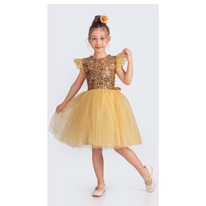 Tütü Etekli Kız Çocuk Elbise