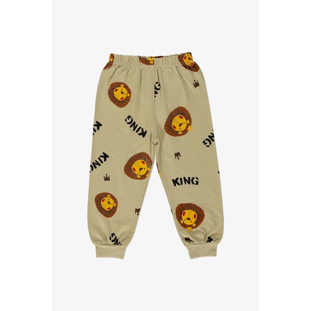 Erkek Çocuk Baskılı Pijama SB603